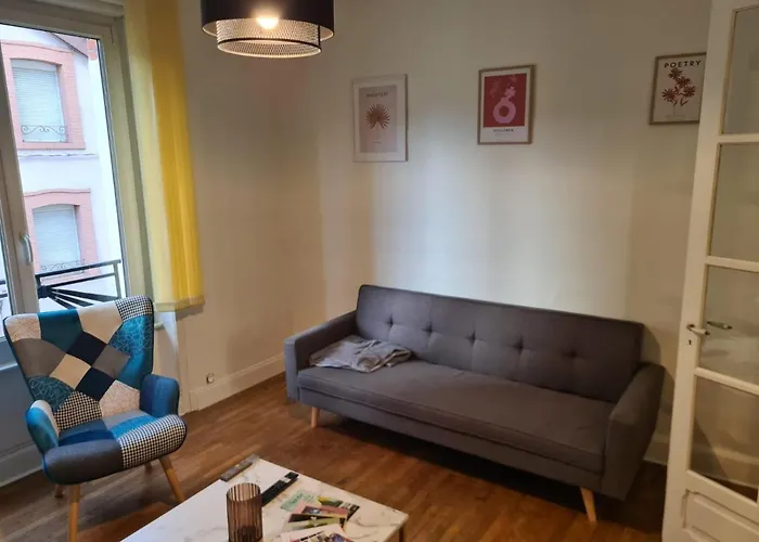 公寓 Le Deodatien *